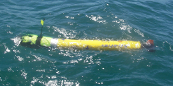 Isurus
