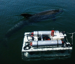 ROV-KOS